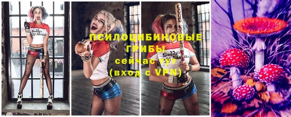 винт Рославль