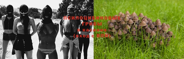 индика Алзамай