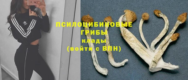 индика Алзамай