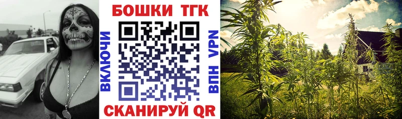 где купить   Хвалынск  Конопля ГИДРОПОН 